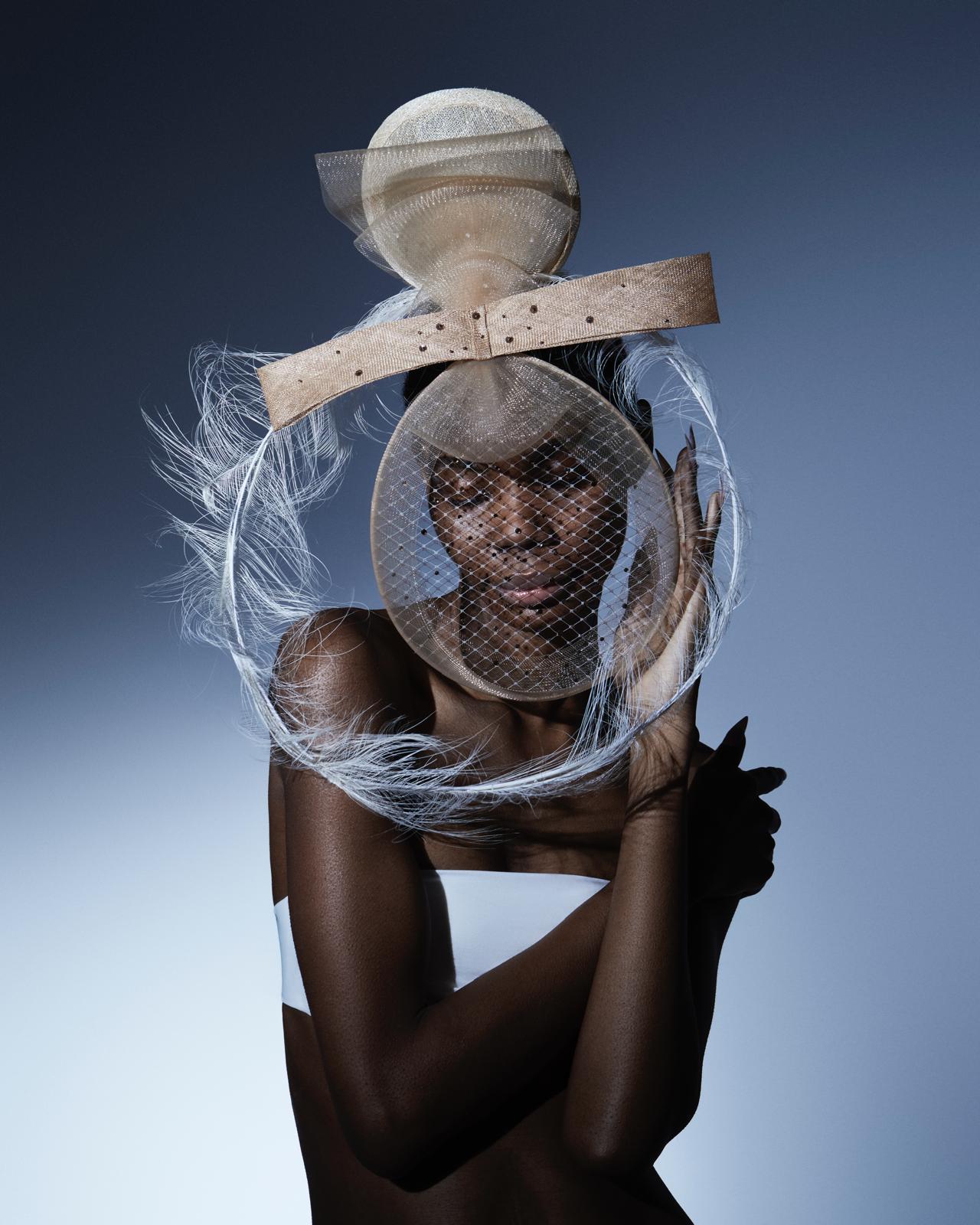 Visionary Veil