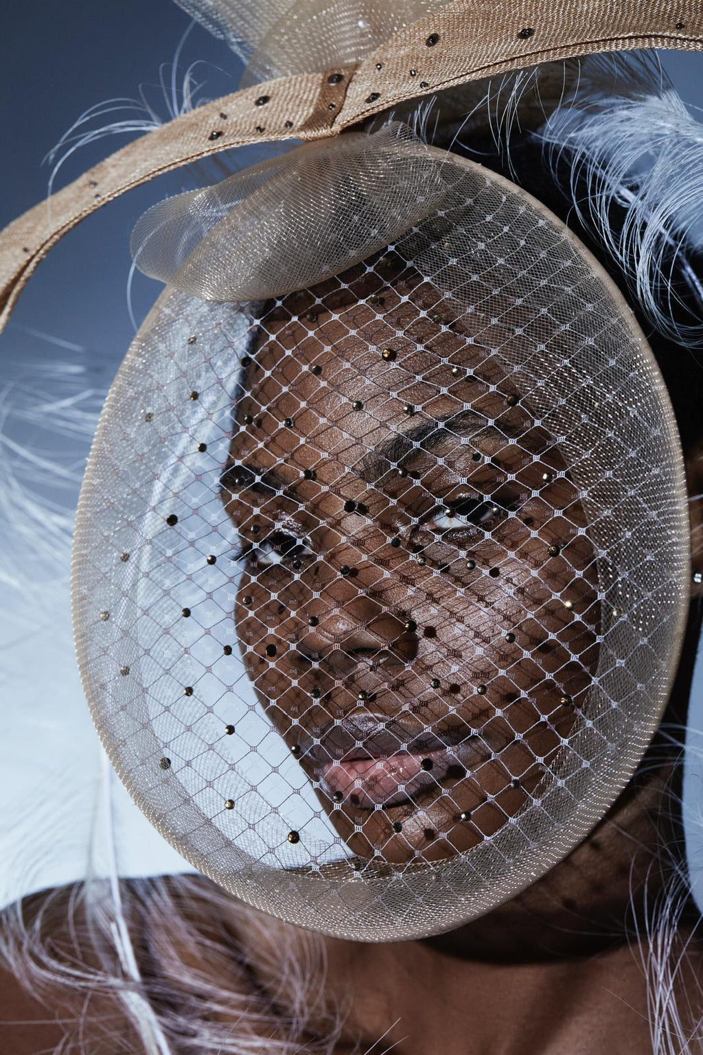Visionary Veil