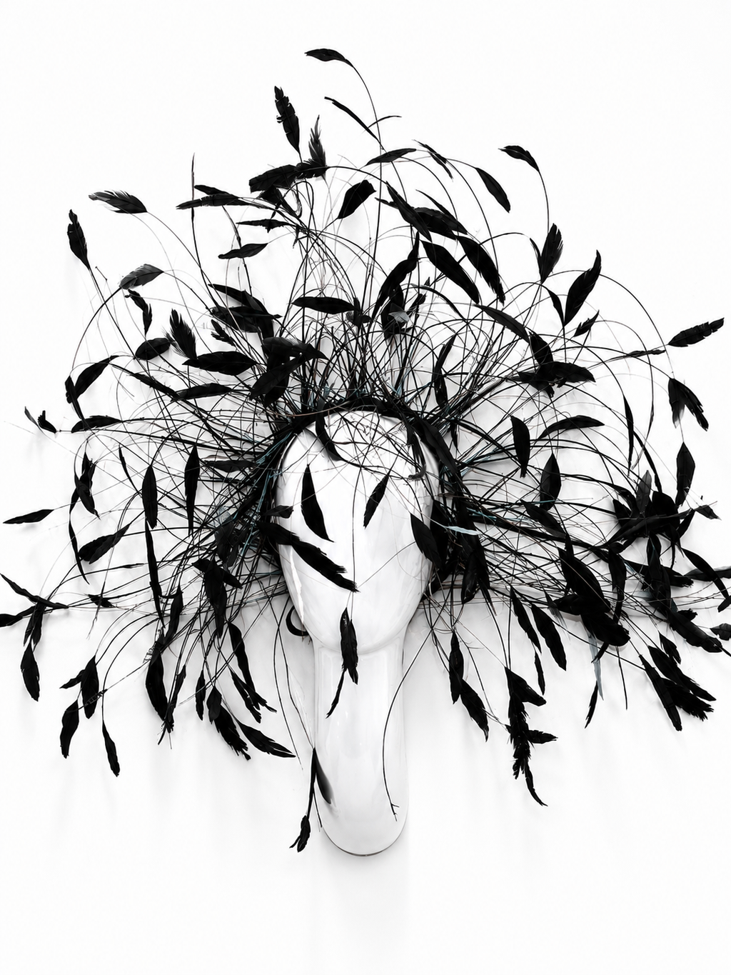 Wind of Freedom