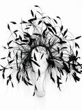 Wind of Freedom