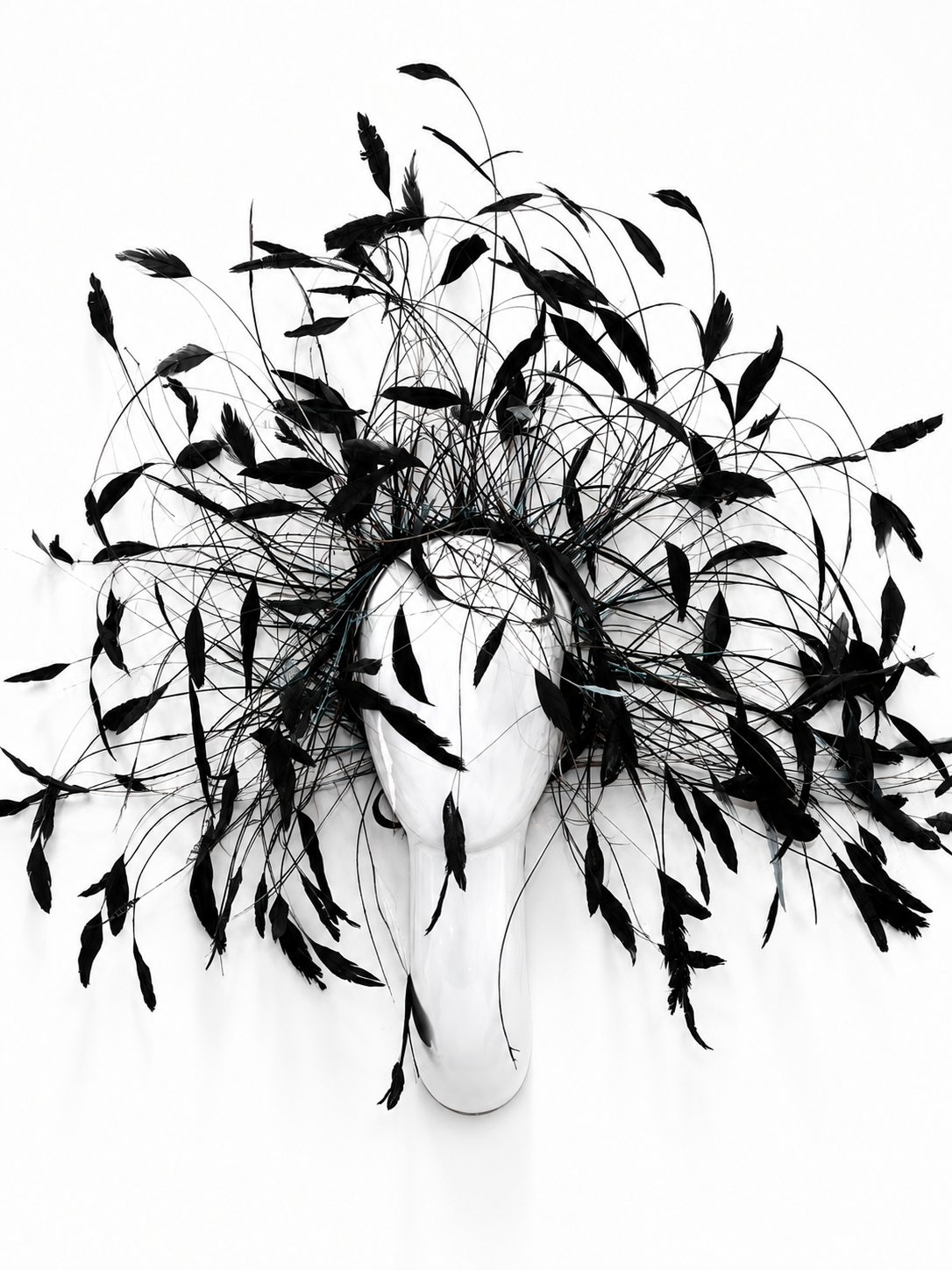 Wind of Freedom